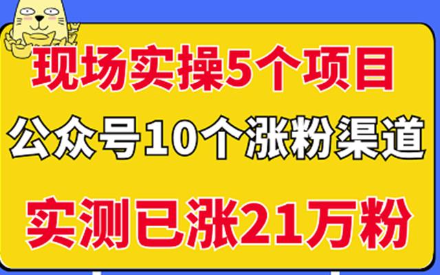 现场实操5个公众号项目，10个涨粉渠道，实测已涨21万粉！-iTZL项目网