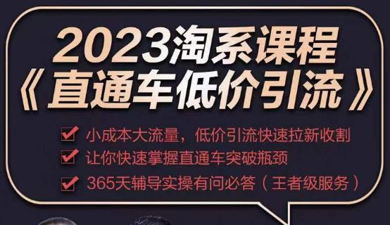 2023直通车低价引流玩法课程，小成本大流量，低价引流快速拉新收割，让你快速掌握直通车突破瓶颈-iTZL项目网