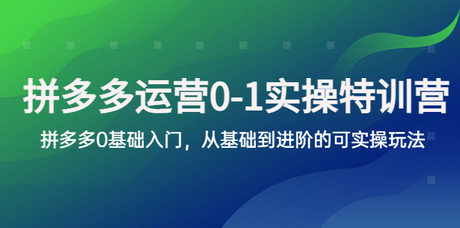 （5747期）拼多多-运营0-1实操训练营，拼多多0基础入门，从基础到进阶的可实操玩法-iTZL项目网