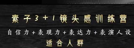 素子表现力训练营，提高自信力+表现力+表达力+表演人设，打造个人魅力ip-iTZL项目网