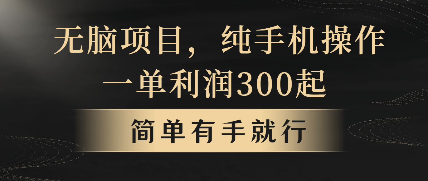 （10699期）无脑项目，一单几百块，轻松月入5w+，看完就能直接操作-iTZL项目网