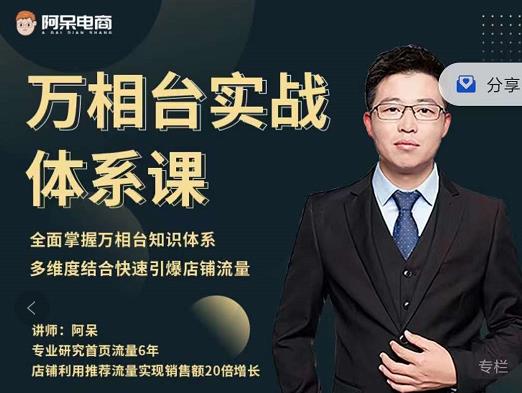 阿呆-万相台实战体系课，帮您全面掌握万相台知识体系-iTZL项目网