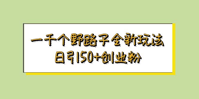 （5960期）一千个野路子全新玩法 日引50+创业粉-iTZL项目网