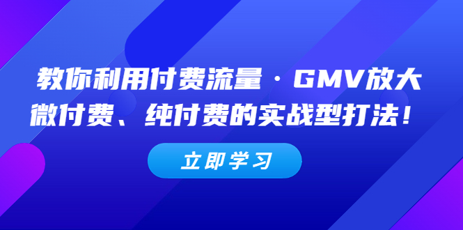（5106期）教你利用付费流量·GMV放大，微付费、纯付费的实战型打法！-iTZL项目网