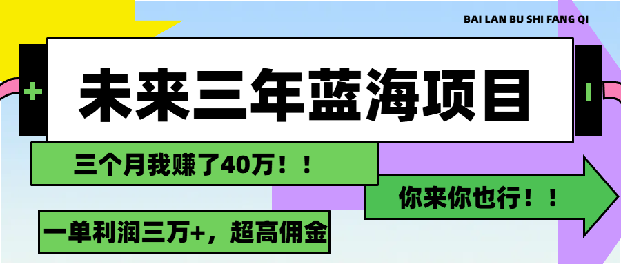 （11716期）未来三年，蓝海赛道，月入3万+-iTZL项目网