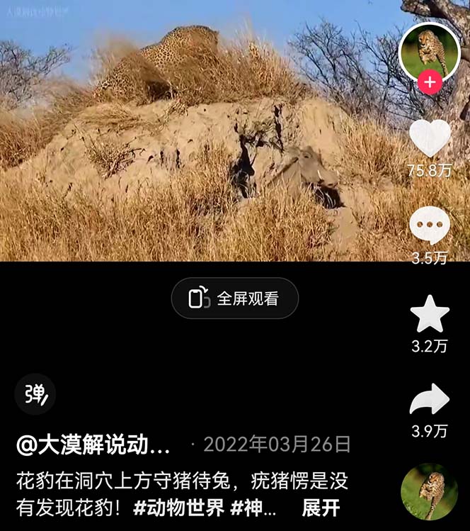 图片[1]-（6312期）外面卖1699的国外纪录片解说（动物解说、美食、动画片）稳过中视频-iTZL项目网