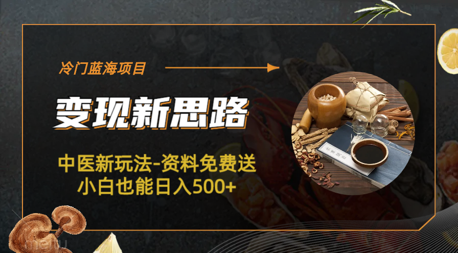 图片[2]-（6452期）冷门蓝海项目-中医新玩法-资料免费送小白也能日入500+-iTZL项目网