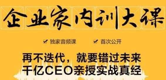 企业家内训大课，未来企业必学经验，价值1299元-iTZL项目网