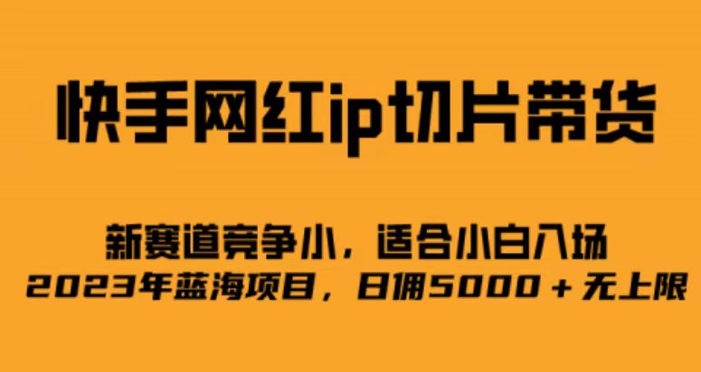 （6832期）快手网红ip切片新赛道，竞争小事，适合小白  2023蓝海项目-iTZL项目网