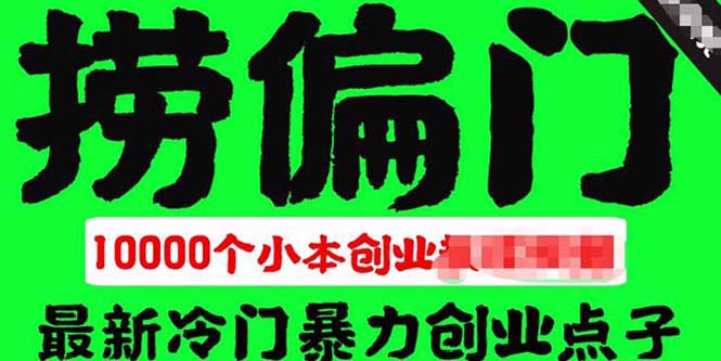 （5750期）千款捞偏门小本创业小项目，总有一款适合你【无水印】-iTZL项目网