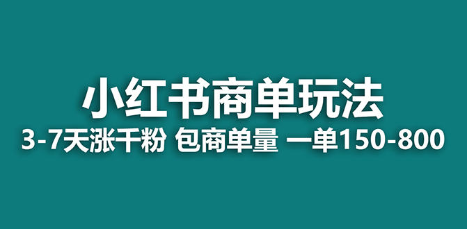 （7099期）2023最强蓝海项目，小红书商单项目，没有之一！-iTZL项目网
