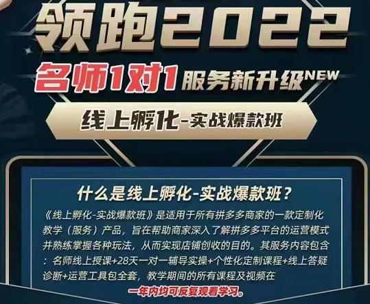 牛气学堂老陶电商【第9期】，拼多多名师线上领跑28天，线上孵化-实战爆款班-iTZL项目网