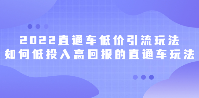 （2415期）2022直通车低价引流玩法，教大家如何低投入高回报的直通车玩法-iTZL项目网