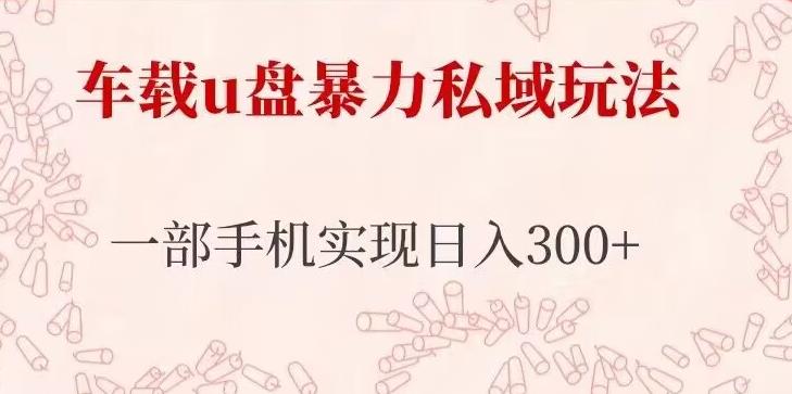 车载u盘暴力私域玩法，长期项目，仅需一部手机实现日入300+-iTZL项目网