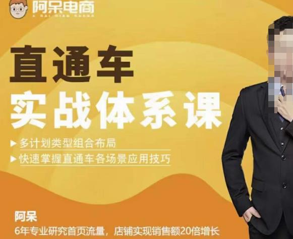 直通车实战体系课：多计划类型组合布局快速掌握直通车各场景应用技巧-iTZL项目网