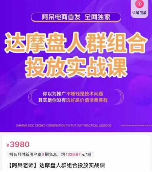 阿呆电商·达摩盘人群组合投放实战课，你以为推广不赚钱是技术问题，其实是你没有选好高价值消费客群-iTZL项目网