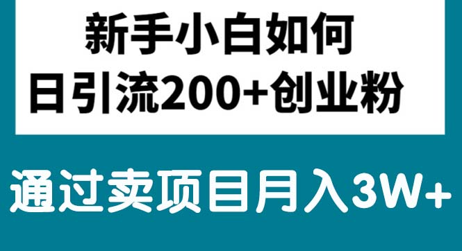 （10843期）新手小白日引流200+创业粉,通过卖项目月入3W+-iTZL项目网