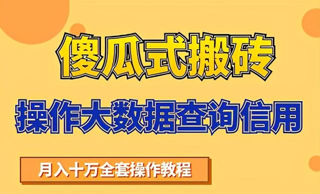 搬砖操作大数据查询信用项目赚钱教程，祝你快速月入6万-iTZL项目网