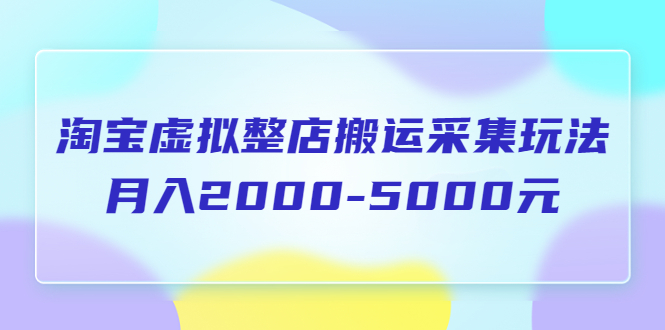 （5931期）淘宝虚拟整店搬运采集玩法分享课：月入2000-5000元（5节课）-iTZL项目网
