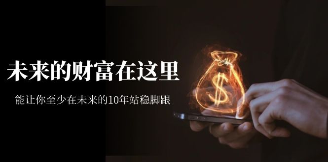 （7164期）某收费文章《未来的财富在这里》能让你至少在未来的10年站稳脚跟-iTZL项目网