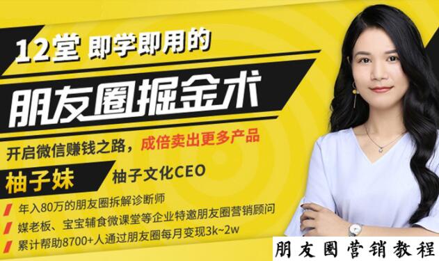 【营销必学】12堂学之即用的朋友圈掘金术：开启你的副业赚钱之路-iTZL项目网