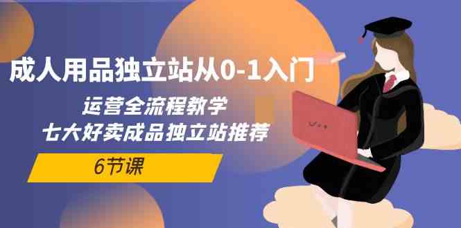 （10082期）成人用品独立站从0-1入门，运营全流程教学，七大好卖成品独立站推荐-6节课-iTZL项目网