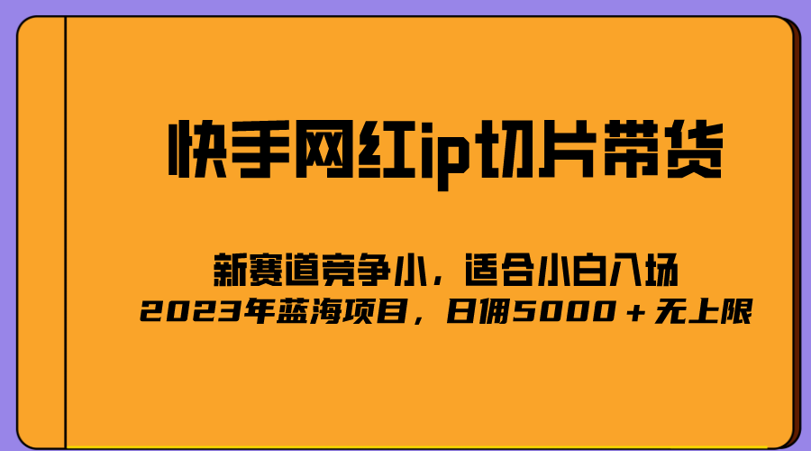 （5346期）2023爆火的快手网红IP切片，号称日佣5000＋的蓝海项目，二驴的独家授权-iTZL项目网