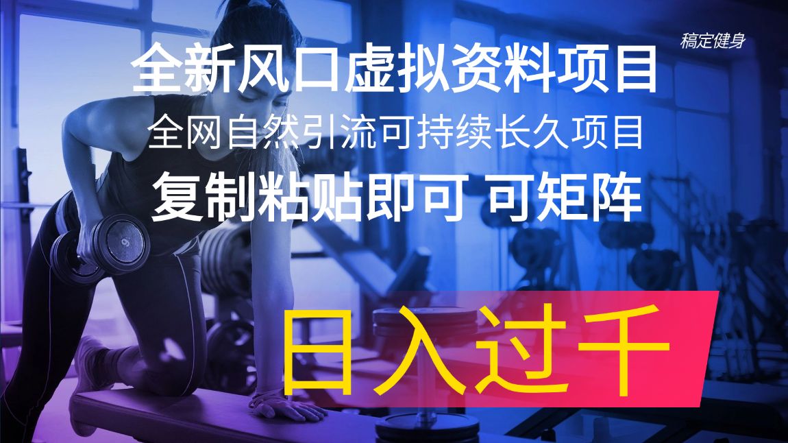 （11587期）全新风口虚拟资料项目 全网自然引流可持续长久项目 复制粘贴即可可矩阵…-iTZL项目网