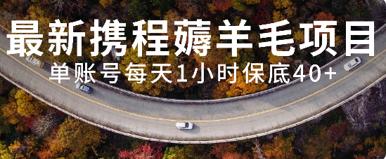 （7995期）最新携程薅羊毛项目，单账号每天1小时保底收益40+，可矩阵操作-iTZL项目网