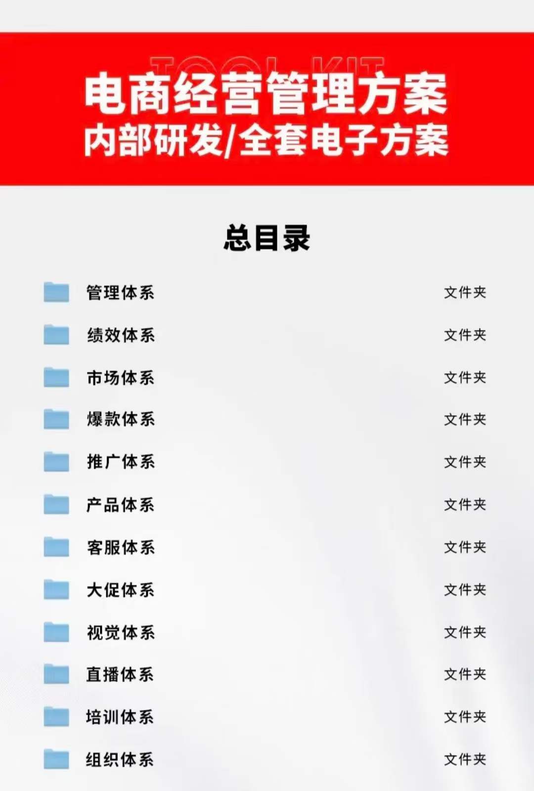 图片[3]-（3439期）外面卖198·电商企业经营管理工具：全套执行落地方案 标准模块·直接套用-iTZL项目网