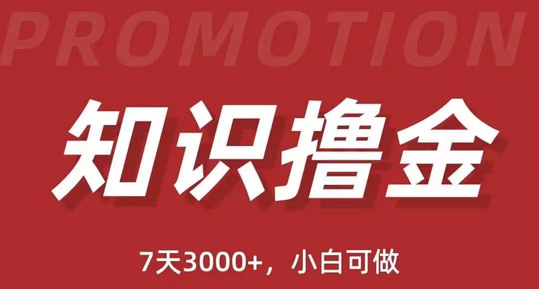 （5629期）抖音知识撸金项目：简单粗暴日入1000+执行力强当天见收益(教程+资料)-iTZL项目网
