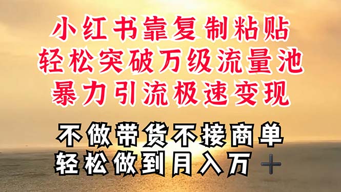 （11139期）深层揭秘小红书，靠复制粘贴，一周突破万级流量池，无脑搬运，暴力引流…-iTZL项目网