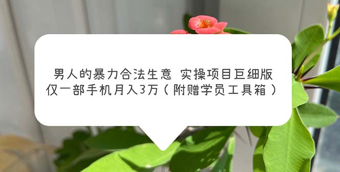 （5962期）男人的暴力合法生意实操项目巨细版：仅一部手机月入3w（附赠学员工具箱）-iTZL项目网