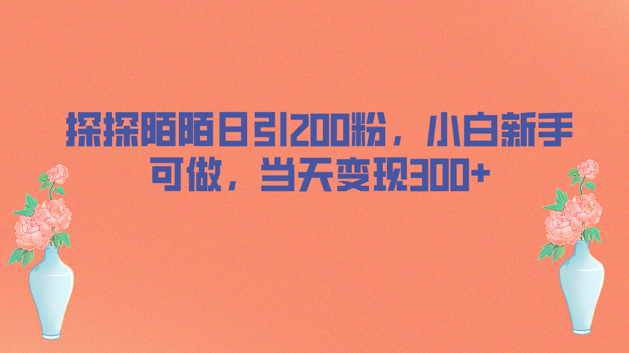 （6817期）探探陌陌日引200粉，小白新手可做，当天就能变现300+-iTZL项目网