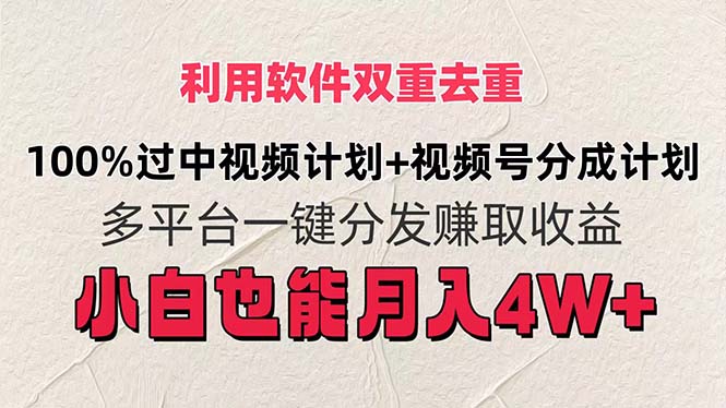 （11862期）利用软件双重去重，100%过中视频+视频号分成计划小白也可以月入4W+-iTZL项目网