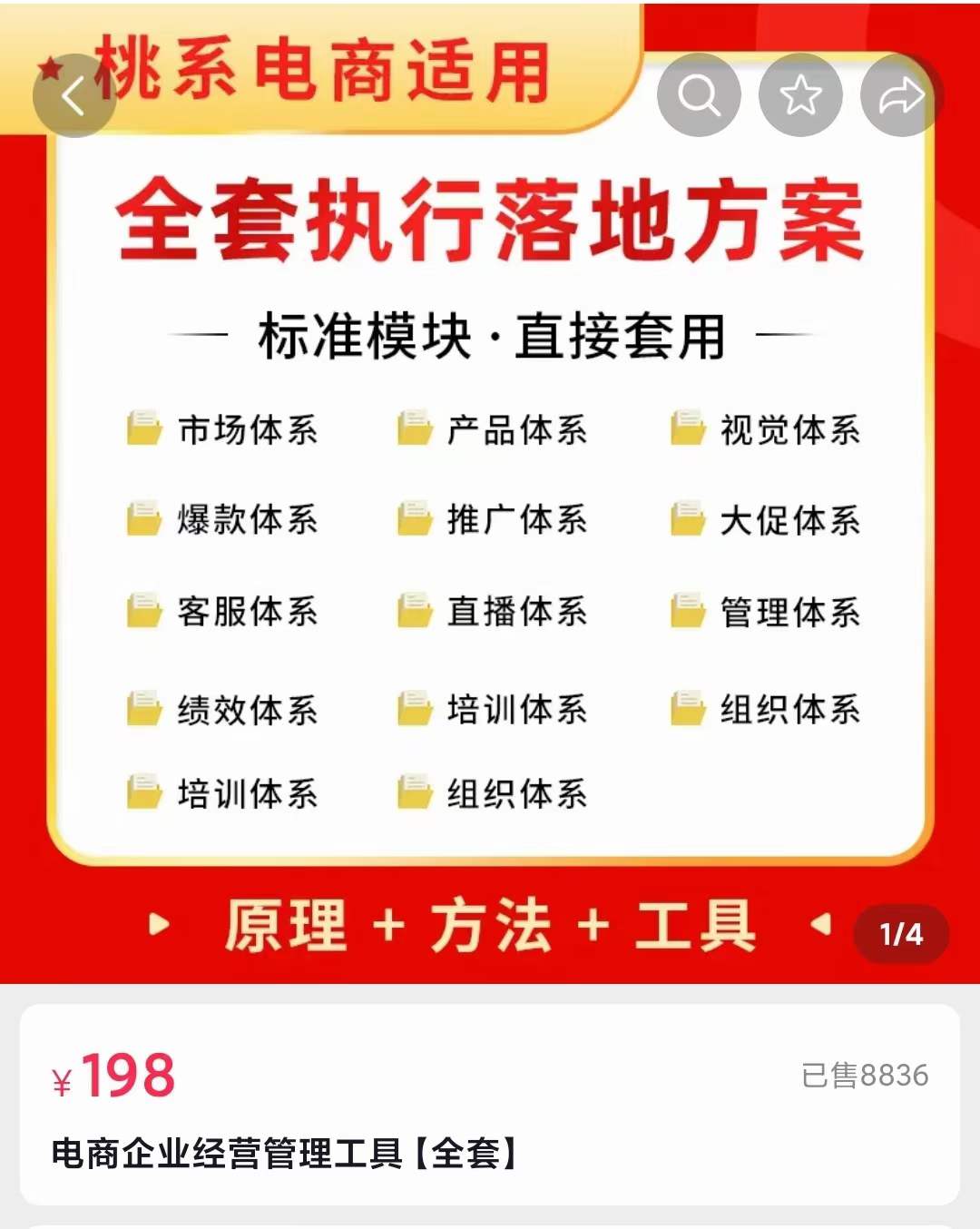 图片[2]-（3439期）外面卖198·电商企业经营管理工具：全套执行落地方案 标准模块·直接套用-iTZL项目网