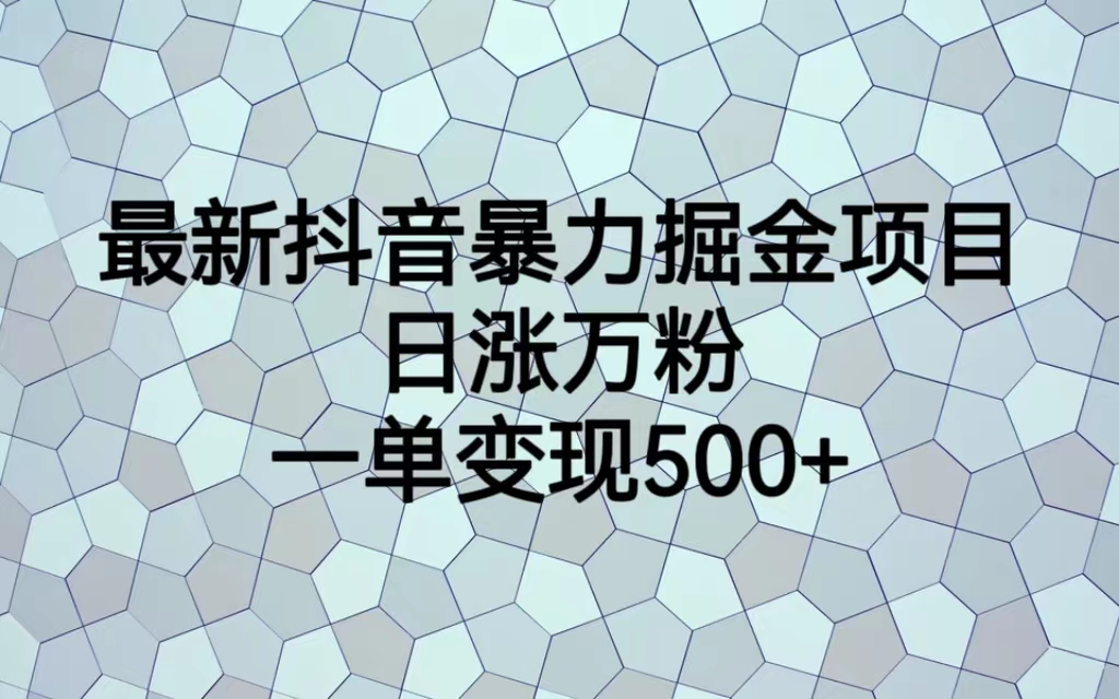 （6660期）最新抖音暴力掘金项目，日涨万粉，一单变现500+-iTZL项目网