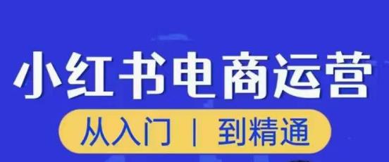 顽石小红书电商高阶运营课程，从入门到精通，玩法流程持续更新-iTZL项目网