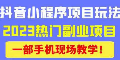 抖音小程序9.0新技巧，2023热门副业项目，动动手指轻松变现-iTZL项目网
