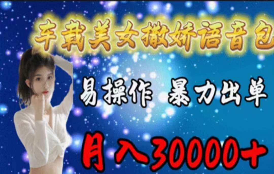 （11249期）车载美女撒娇语音包，执行就出单，月入3000＋，小白看完课程就能马上实操-iTZL项目网