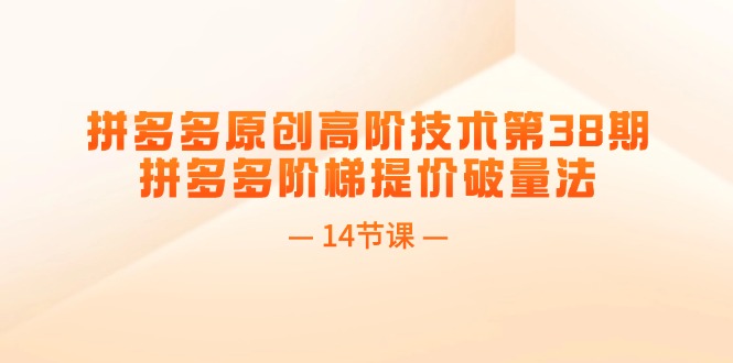 （11704期）拼多多原创高阶技术第38期，拼多多阶梯提价破量法（14节课）-iTZL项目网