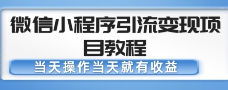 微信小程序引流变现项目教程，当天操作当天就有收益，变现不再是难事-iTZL项目网