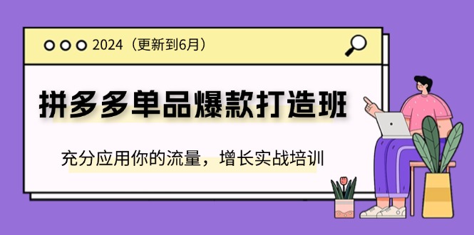 （11556期）2024拼多多-单品爆款打造班(更新6月)，充分应用你的流量，增长实战培训-iTZL项目网