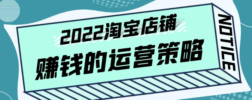 震宇老师·2022年淘宝店铺赚钱的运营策略，一套能够盈利的赚钱打法-iTZL项目网