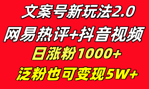 （8484期）文案号新玩法 网易热评+抖音文案 一天涨粉1000+ 多种变现模式 泛粉也可变现-iTZL项目网
