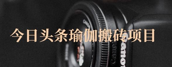 猎人社区·今日头条瑜伽搬砖项目，单号一天几十收入，可以批量操作！-iTZL项目网