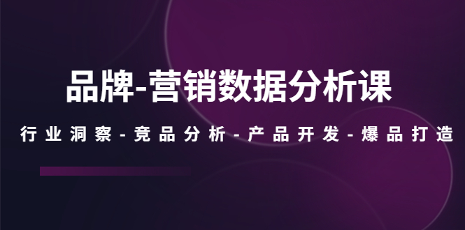 （5565期）品牌-营销数据分析课，行业洞察-竞品分析-产品开发-爆品打造-iTZL项目网
