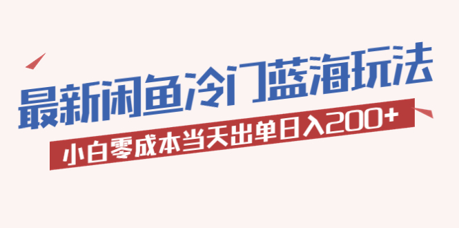 （5903期）2023最新闲鱼冷门蓝海玩法，小白零成本当天出单日入200+-iTZL项目网
