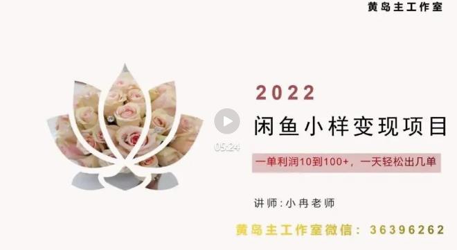 黄岛主最新企业彩铃项目+闲鱼小样项目，利润每天200+轻轻松松，纯视频拆解玩法-iTZL项目网