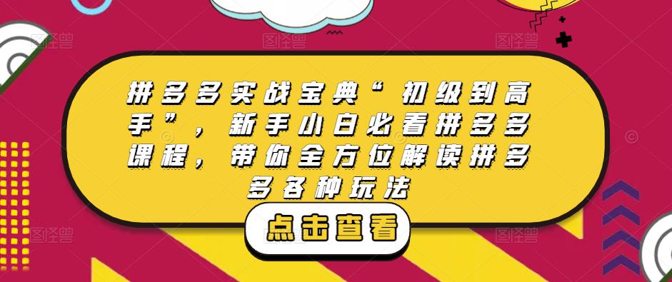 拼多多实战宝典“初级到高手”，新手小白必看拼多多课程，带你全方位解读拼多多各种玩法-iTZL项目网